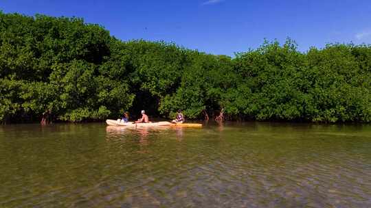 皮划艇，Tavernier Key，红树