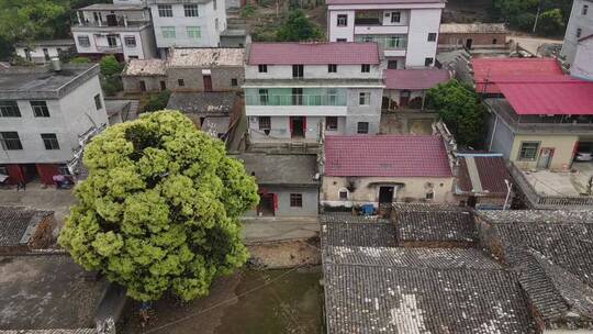 地标建筑航拍，看到这么美的风景