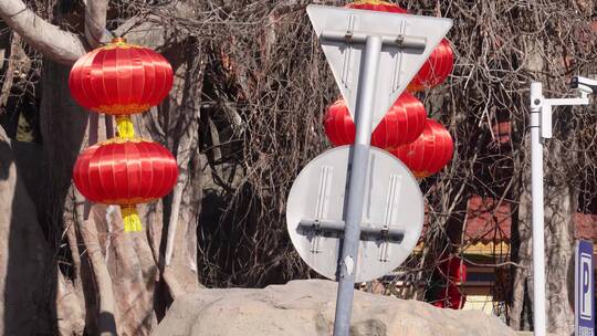 春节民族园挂红灯笼视频素材模板下载