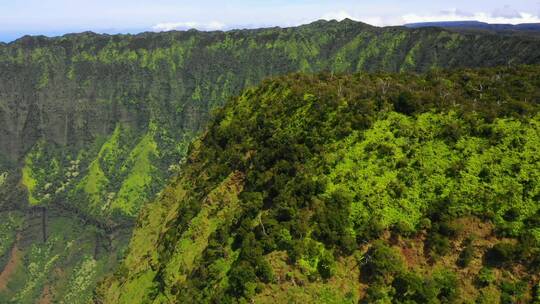 鸟瞰考艾山脉夏威夷丛林视频素材模板下载