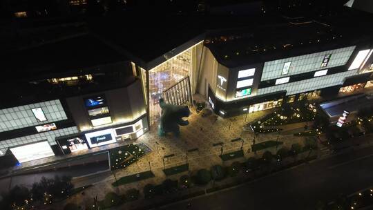 西安高新中大国际商业中心甘家寨高新路视频素材模板下载