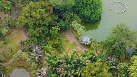 广州市湿地公园自然保护湿地日航拍