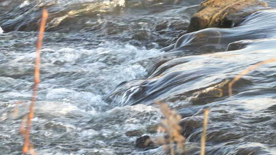 水 湿地 槐河湿地 光影 水流 (4)