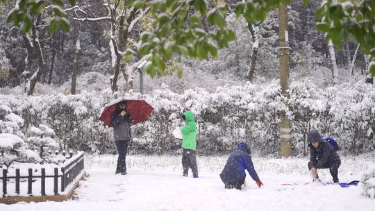 下雪天一家人开心打雪仗拍照