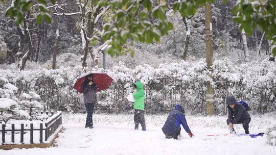 下雪天一家人开心打雪仗拍照视频素材模板下载