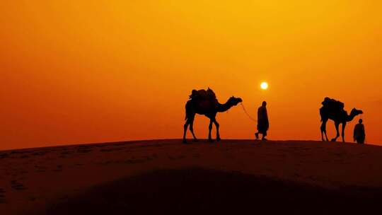日落时的沙漠、沙漠中穿行的骆驼