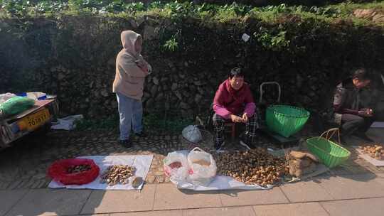 乡野市集：路边小贩农产品售卖与徒步的游客