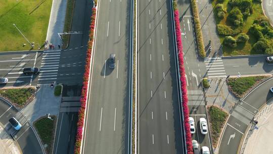 深圳路边杜鹃花，道路交通