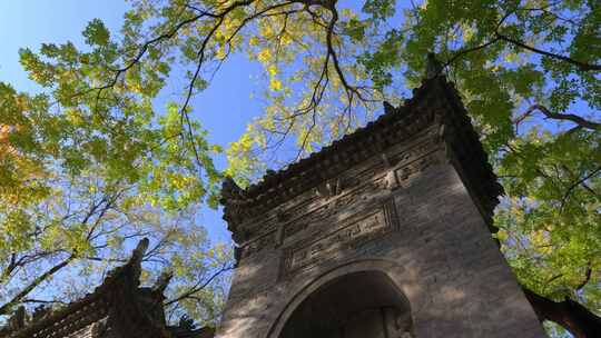 西安小雁塔仰拍古石碑与参天大树蓝天