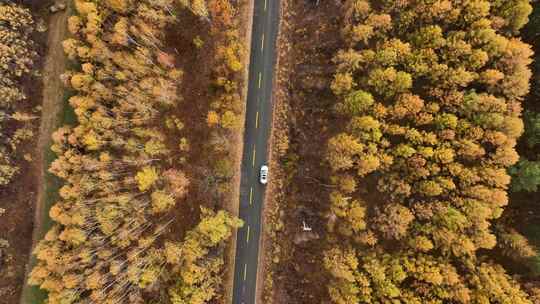 航拍森林间公路景象