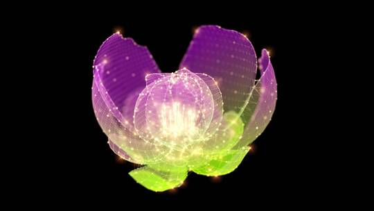 紫色全息粒子花朵背景