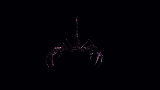 黑蝎子-战斗环-I-前视图特写-Alph