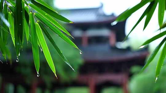 清明节空镜头