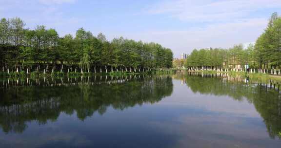 春天溧阳燕山公园美丽湖水绿色森林城市绿化