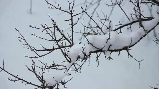 冬天唯美下雪场景