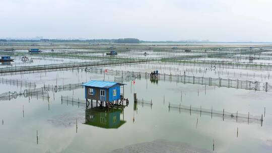 苏州阳澄湖大闸蟹养殖基地