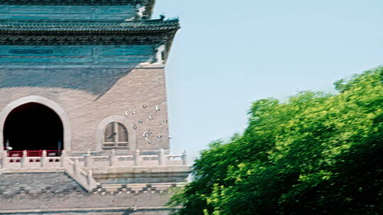 鸽子飞过钟楼鼓楼 北京人文视频素材模板下载