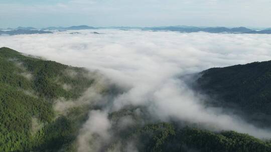 福建宁德周宁县仙风山云海风光航拍