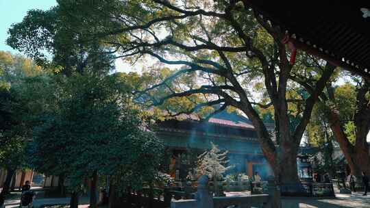 宁波阿育王寺古建筑大殿烧香拜佛