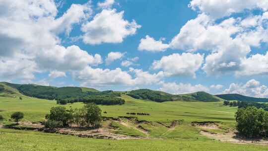 8K内蒙古乌兰布统大草原 延时摄影