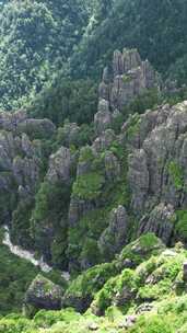 竖版航拍湖北神农架景区神农谷悬岩峭壁