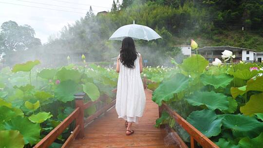 荷花池里夏季美少女行走背影清晨烟云雾缭绕