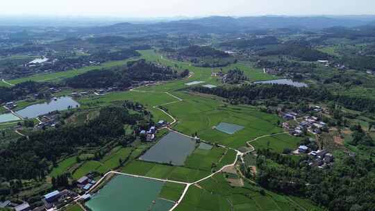 乡村田野、四川罗江广袤土地