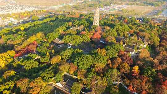 航拍秋天清晨无人的苏州虎丘山风景区