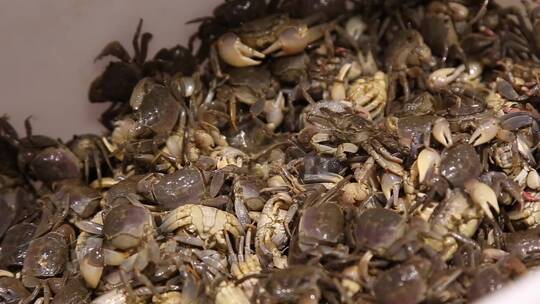 海鲜市场鲜活小河蟹螃蟹