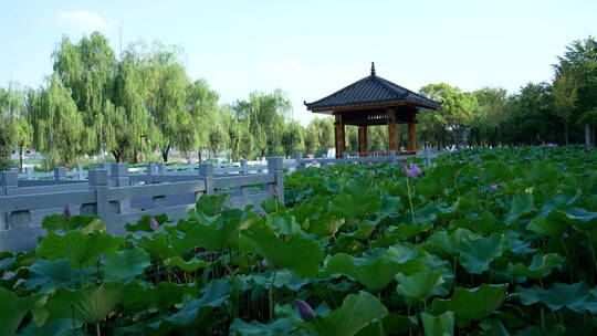 武汉汉阳江滩公园风景