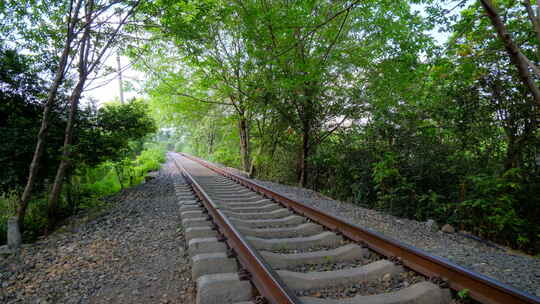 废弃铁路铁轨穿过树林