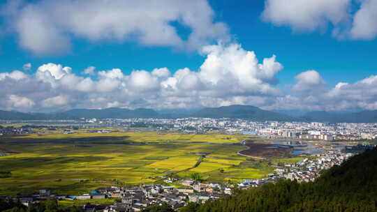 【延时】腾冲城边金黄的稻田