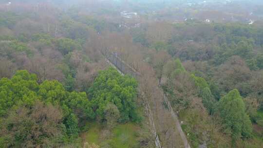 杭州植物园风景视频素材