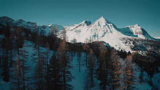 山上空中雪山上的树