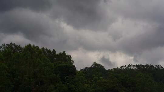 阴天森林乌云飘过树林阴雨天森林大景松树林