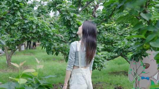 4k升格果园植物园轻松治愈悠闲生活镜头