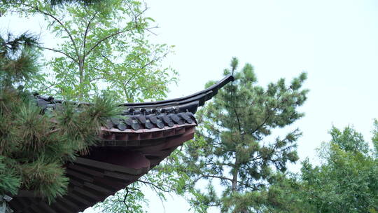 武汉武昌区黄鹤楼公园风景