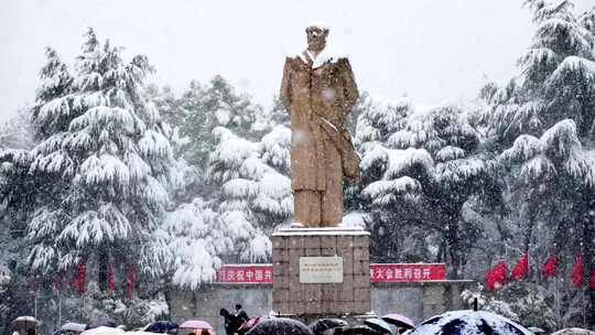 长沙下雪湖南大学岳麓书院视频素材模板下载