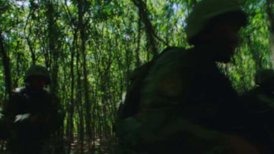 士兵丛林搜索（降格）视频素材模板下载