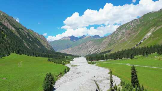 新疆伊犁草原恰西自然风光航拍森林风景