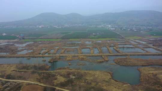 丹江湿地国家级自然保护区合集