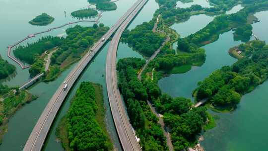 湿地中的公路视频素材模板下载