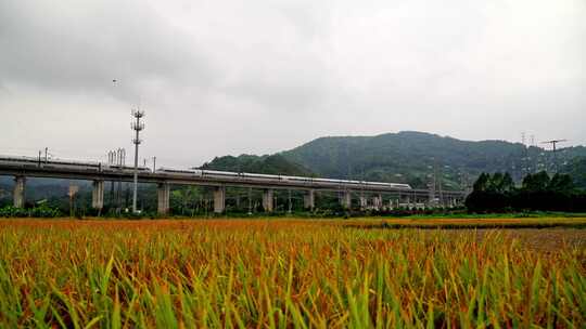 田野间的高铁线路航拍风光