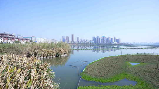 武汉洪山区南湖花溪公园风景