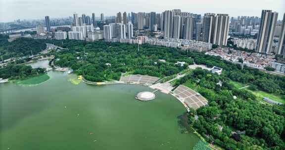 【正版素材】武汉月湖风景区