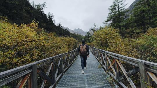 独自行走在稻城亚丁洛绒牛场栈道的旅人