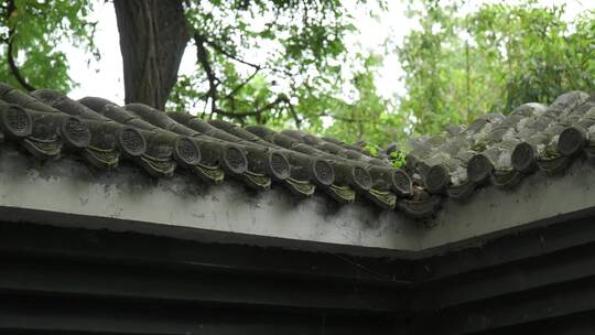 中国古建筑园林石雕明清古松树