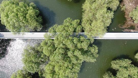 湖南岳阳洞庭湖鱼米之乡农业种植鱼塘航拍