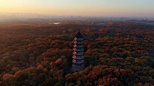 南京灵谷景区灵谷寺灵谷塔航拍