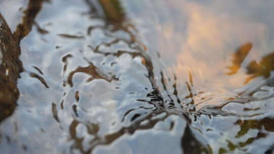 流水 小溪 生命源泉 流动的水 慢放 清水